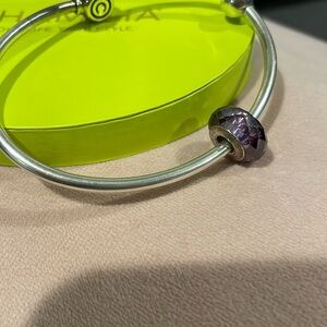 Chamilia Murano Glass Charm